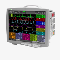 FX 3000MD Модуларен пациентски монитор-xksti.png